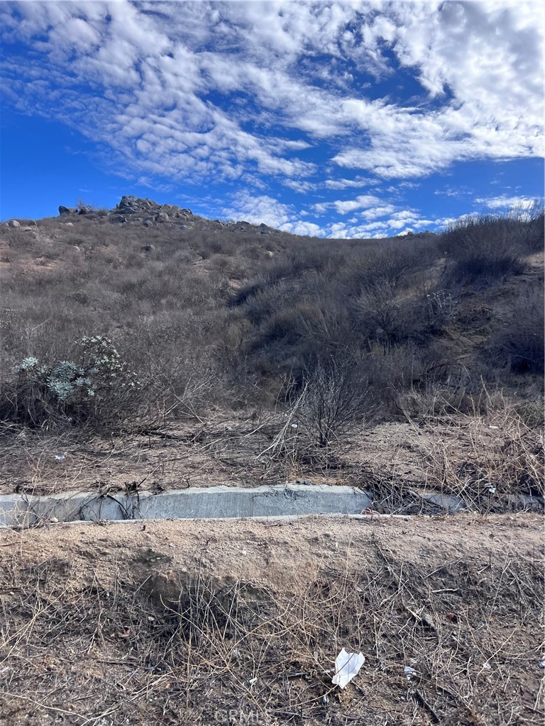 a view of dirt field with trees