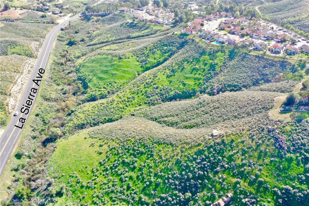 17401 La Sierra Avenue Riverside, CA 92503 - Photo 7 of 16 a view of a garden with a tree