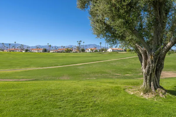 a view of a big yard with an trees