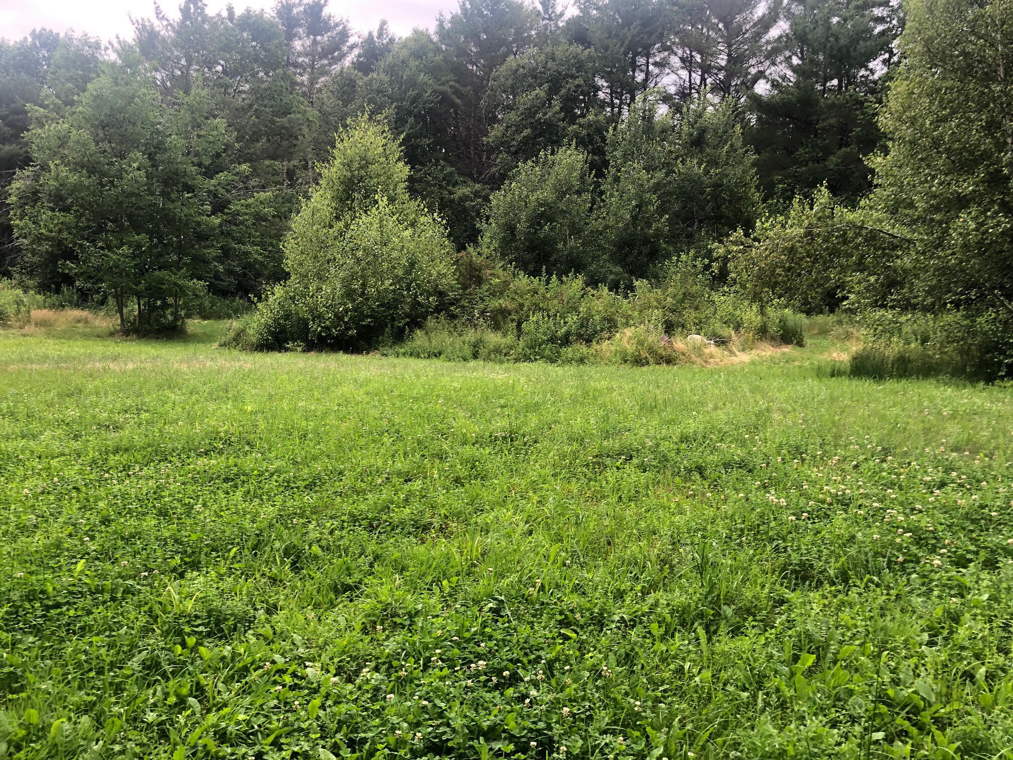 98 Kendall Corner Road Belfast, ME 04915 - Photo 1 of 7 unnamed (3)