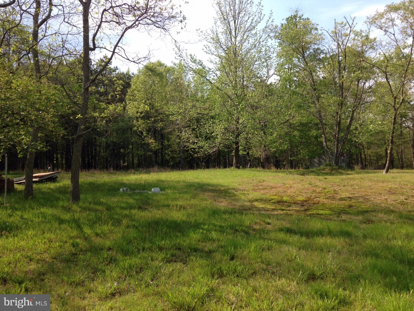 5 Johnson Place Road Vincentown, NJ 08088 - Photo 4 of 5