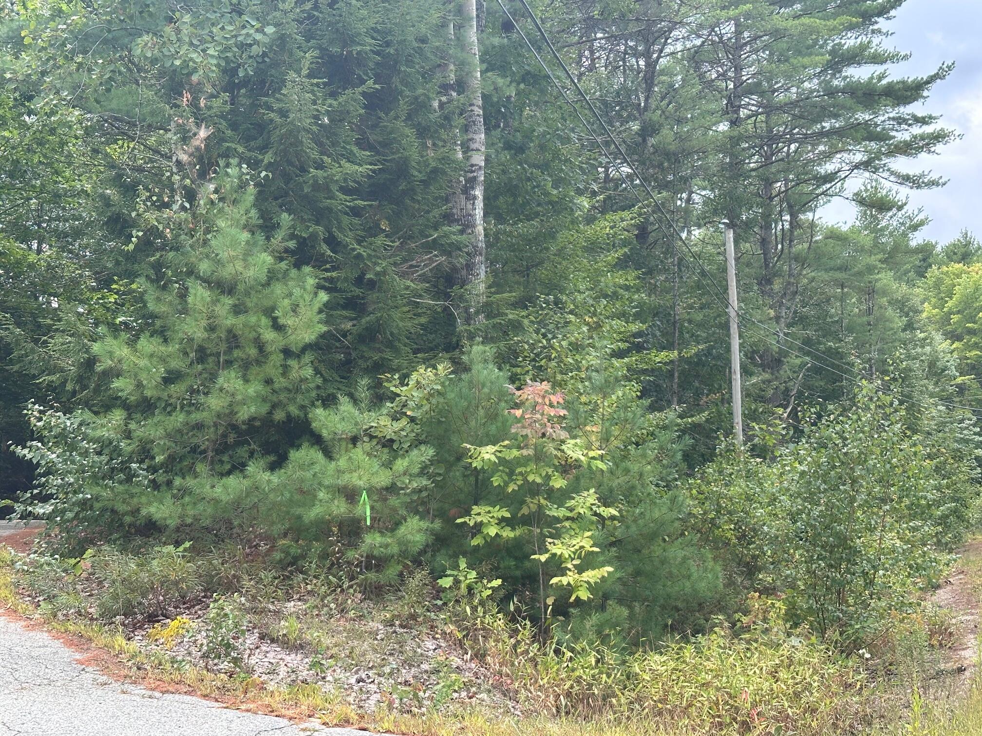 40-39-1 Gebung Road Alfred, ME 04002 - Photo 6 of 8 IMG_6810