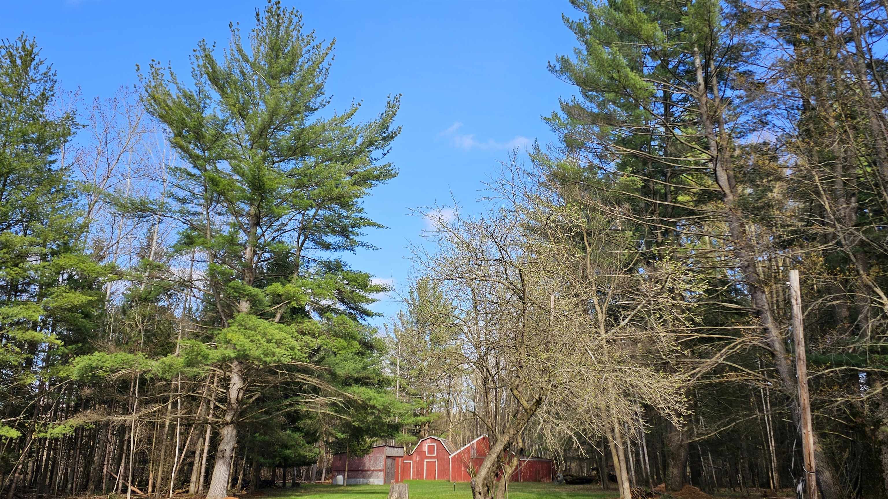 1080 North Hockaday Road Gladwin, MI 48624 - Photo 54 of 75