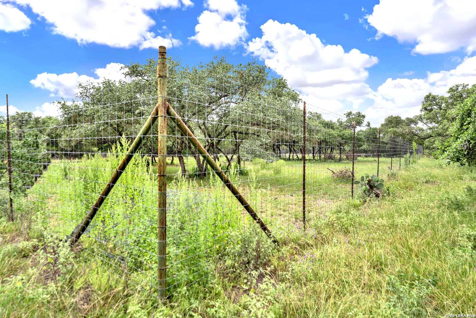 0 Fm 1796 D'Hanis, TX 78850 - Photo 23 of 26 a view of swimming pool from a yard