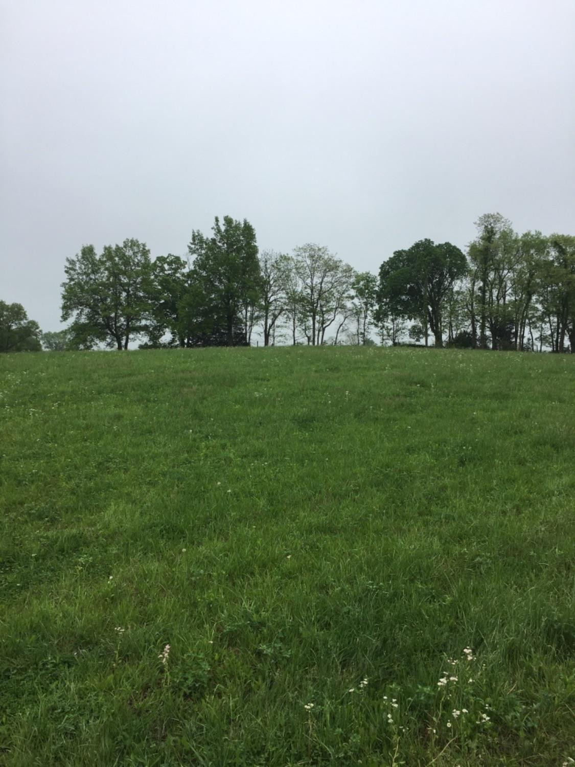 0 Graves Road Stamping Ground, KY 40379 - Photo 1 of 3 Listing Photo