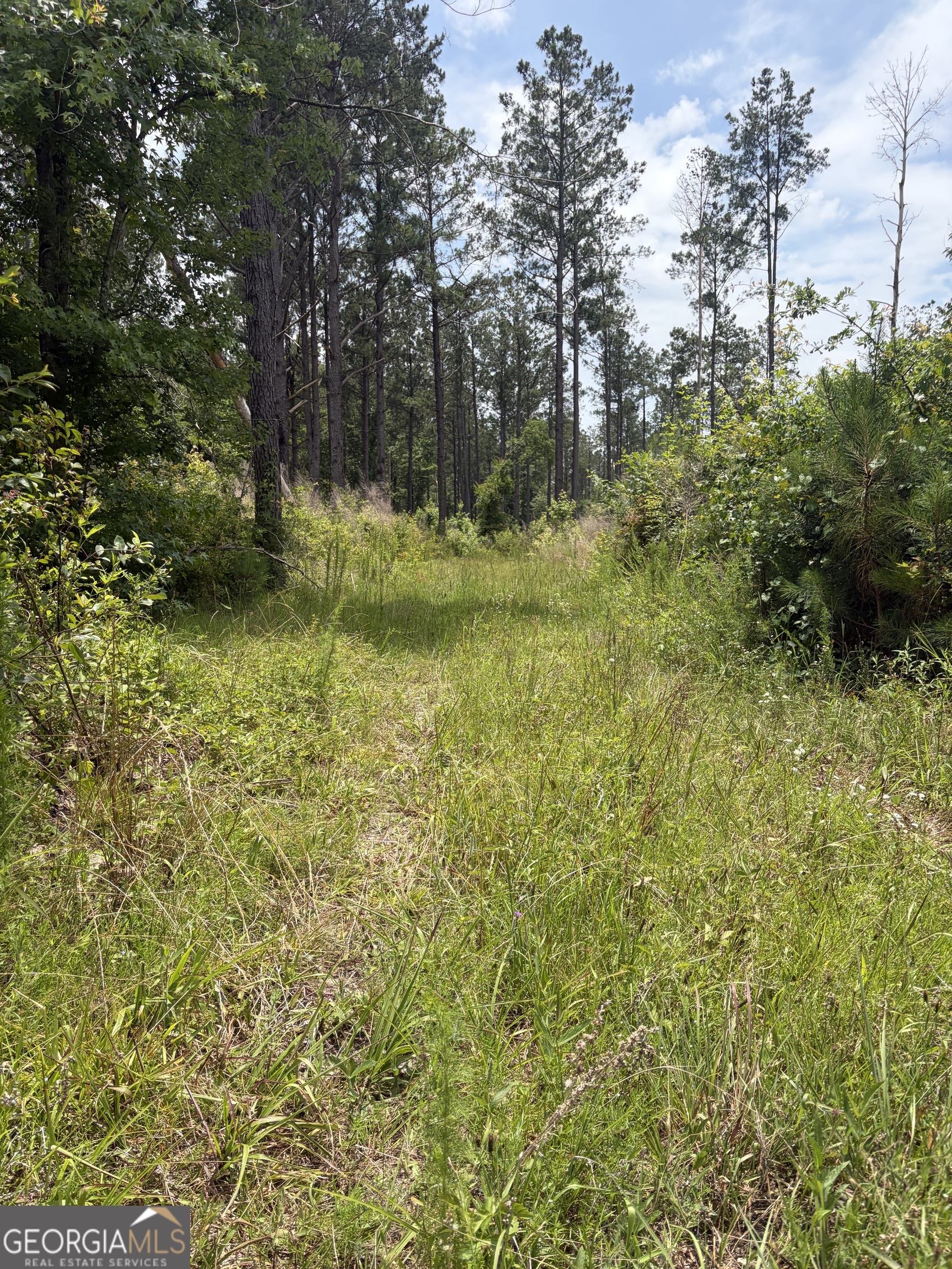 9 Sunhill Grange Road Sandersville, GA 31018 - Photo 1 of 12