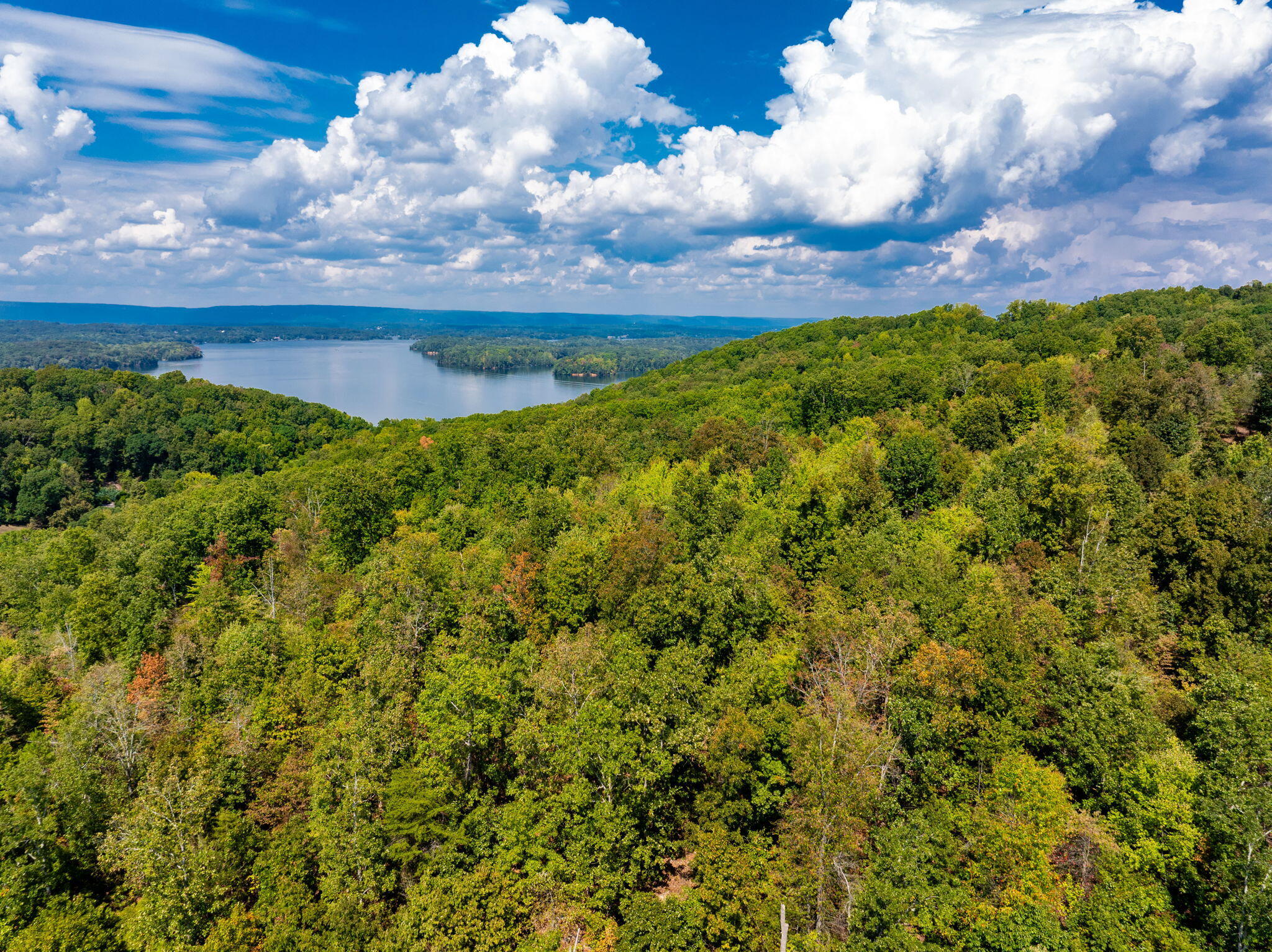 6933-6937 Short Tail Springs Road Harrison, TN 37341 - Photo 12 of 23 12-web-or-mls-DJI_20240922115209_0614_D-