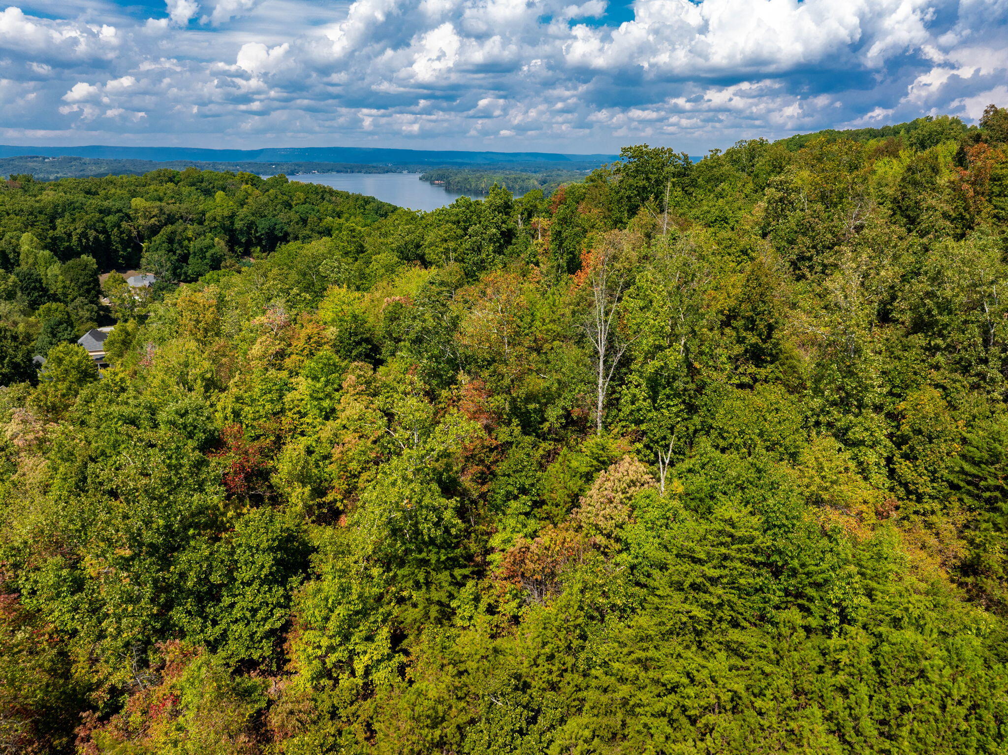 6933-6937 Short Tail Springs Road Harrison, TN 37341 - Photo 21 of 23 26-web-or-mls-DJI_20240922115615_0627_D-