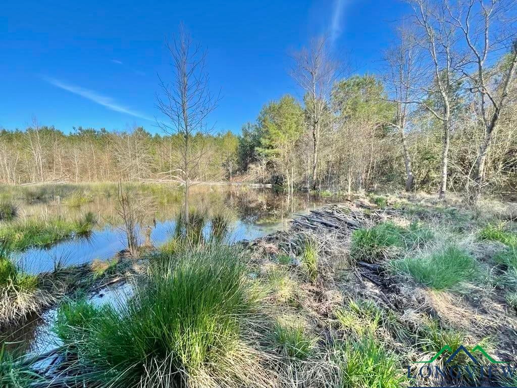 1138 Dreesen Road Jefferson, TX 75657 - Photo 12 of 21 Gallery Image 12