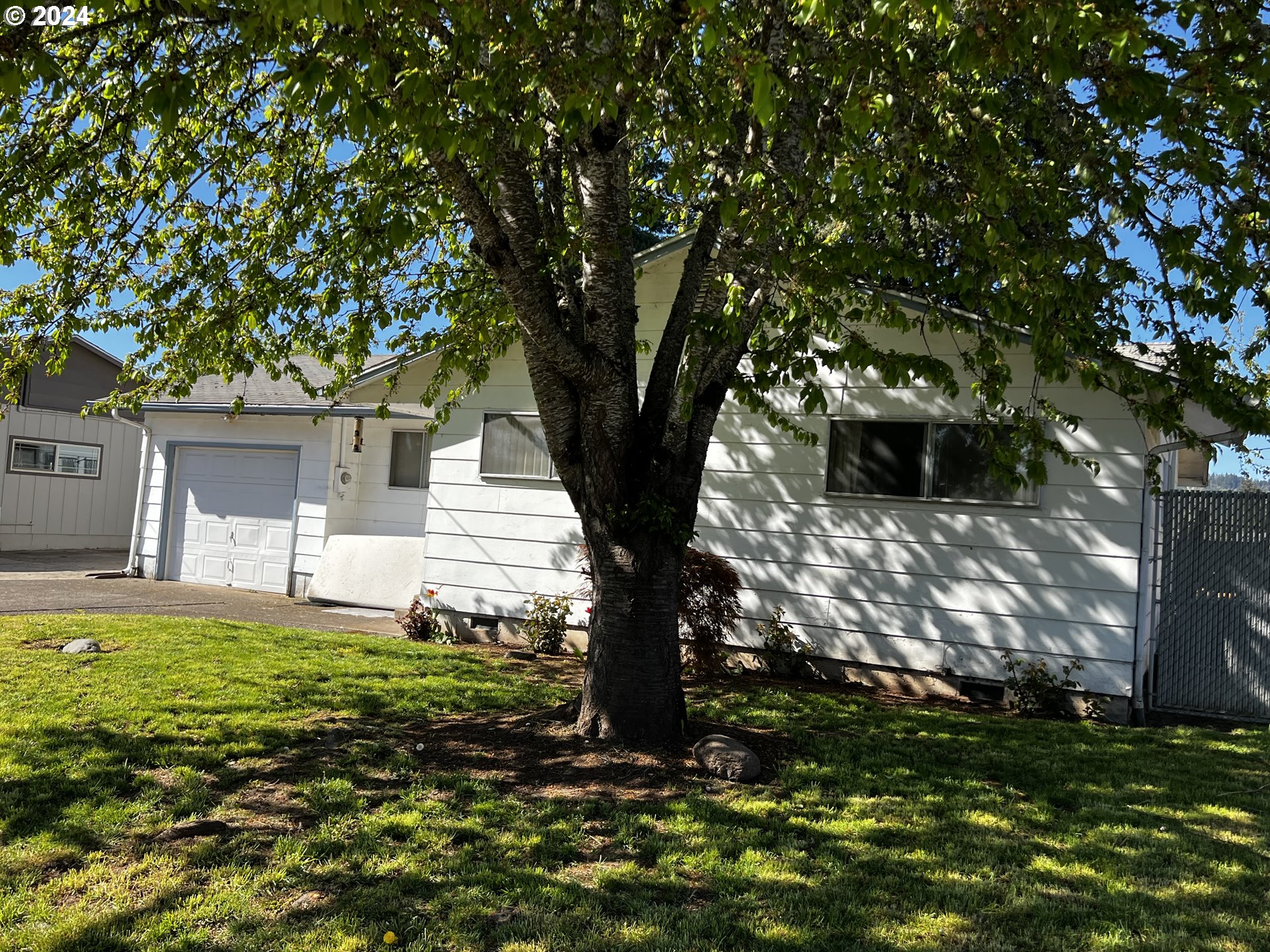 5246 E Street Springfield, OR 97478 - Photo 1 of 26 a tree in front of a white house