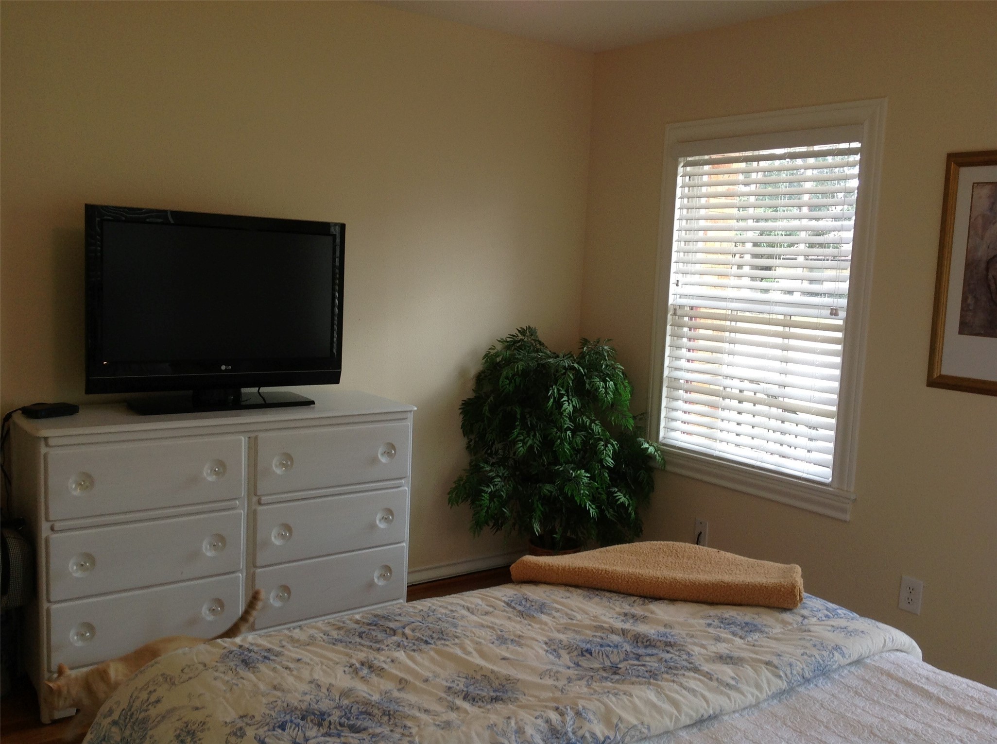 704 Sue Street Houston, TX 77009 - Photo 19 of 24