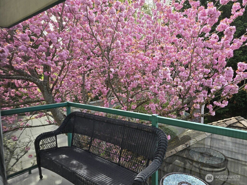 609 7th Avenue North, Unit B304 Edmonds, WA 98020 - Photo 21 of 26 a blue bench sitting in front of a tree
