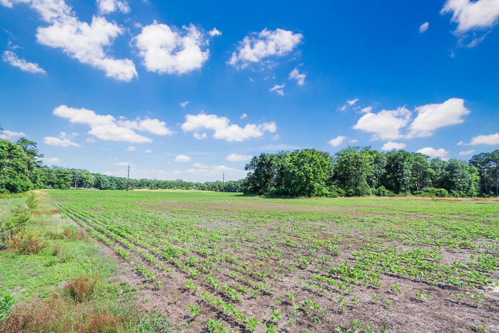 Lot 6 Fleming Road, Unit 6 Horntown, VA 23395 - Photo 24 of 26