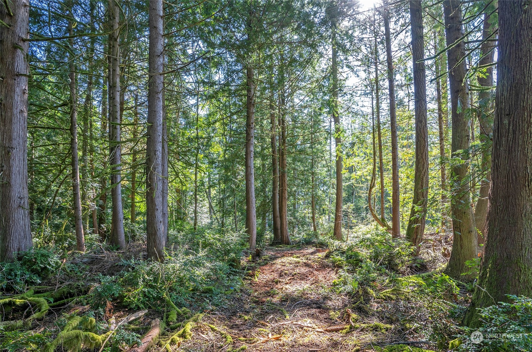 5769 Ray Road Southeast Port Orchard, WA 98367 - Photo 8 of 12 Gallery Image 8