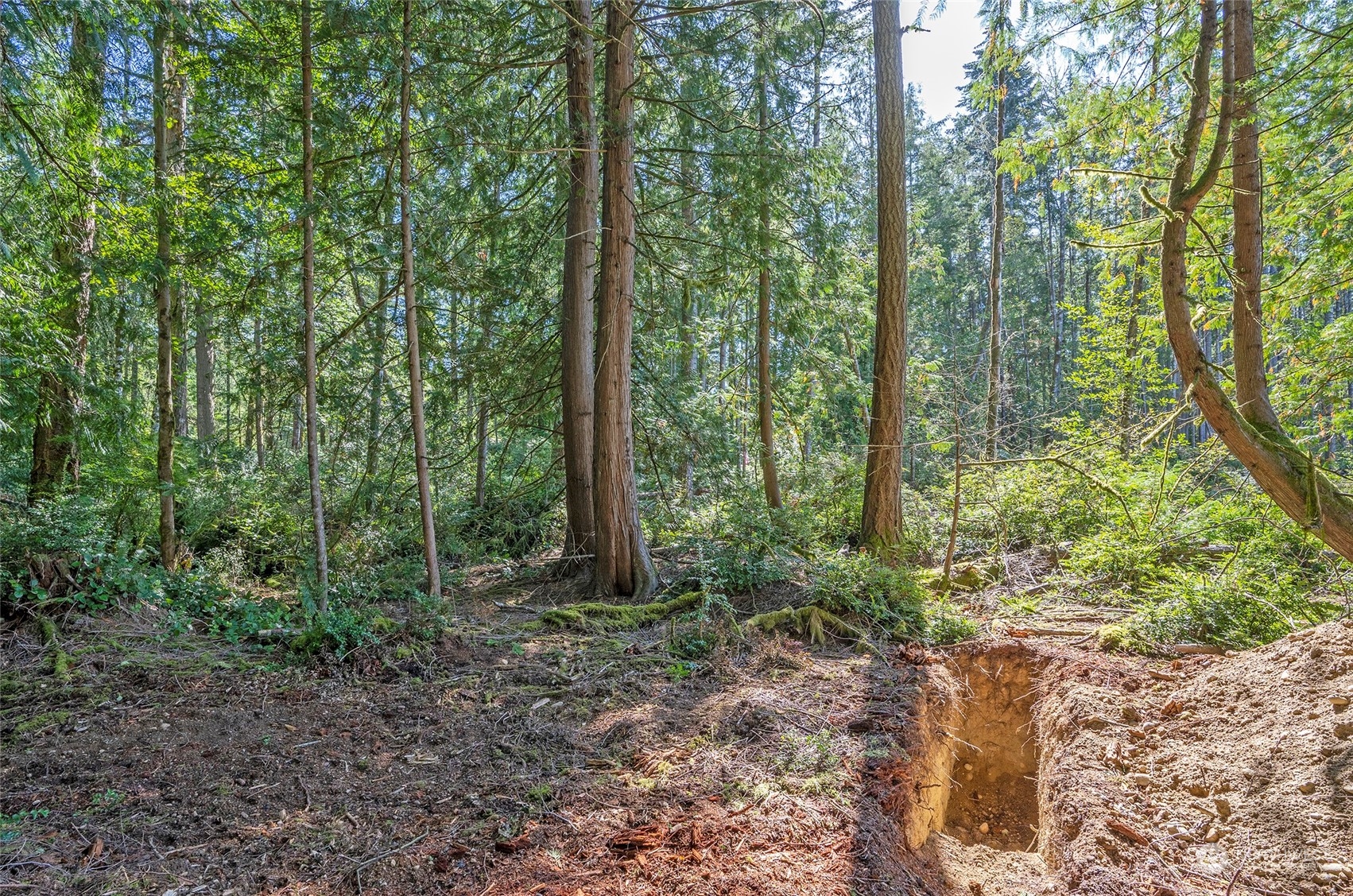 5769 Ray Road Southeast Port Orchard, WA 98367 - Photo 10 of 12 Gallery Image 10