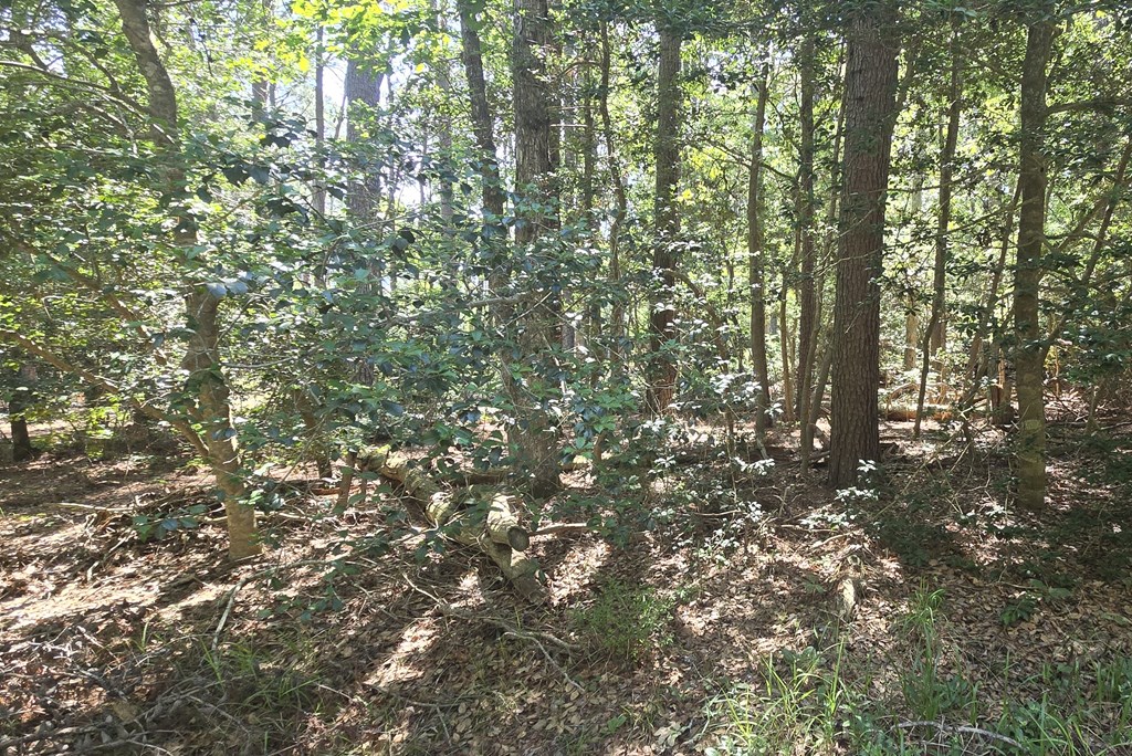 Lot B4 Saltworks Road, Unit B Exmore, VA 23350 - Photo 2 of 11