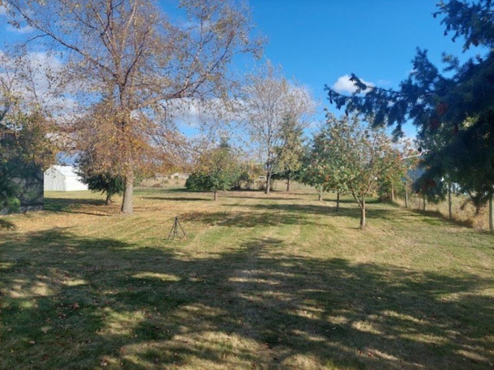 4206 North Starr Road Otis Orchards, WA 99027 - Photo 23 of 26 Gallery Image 23