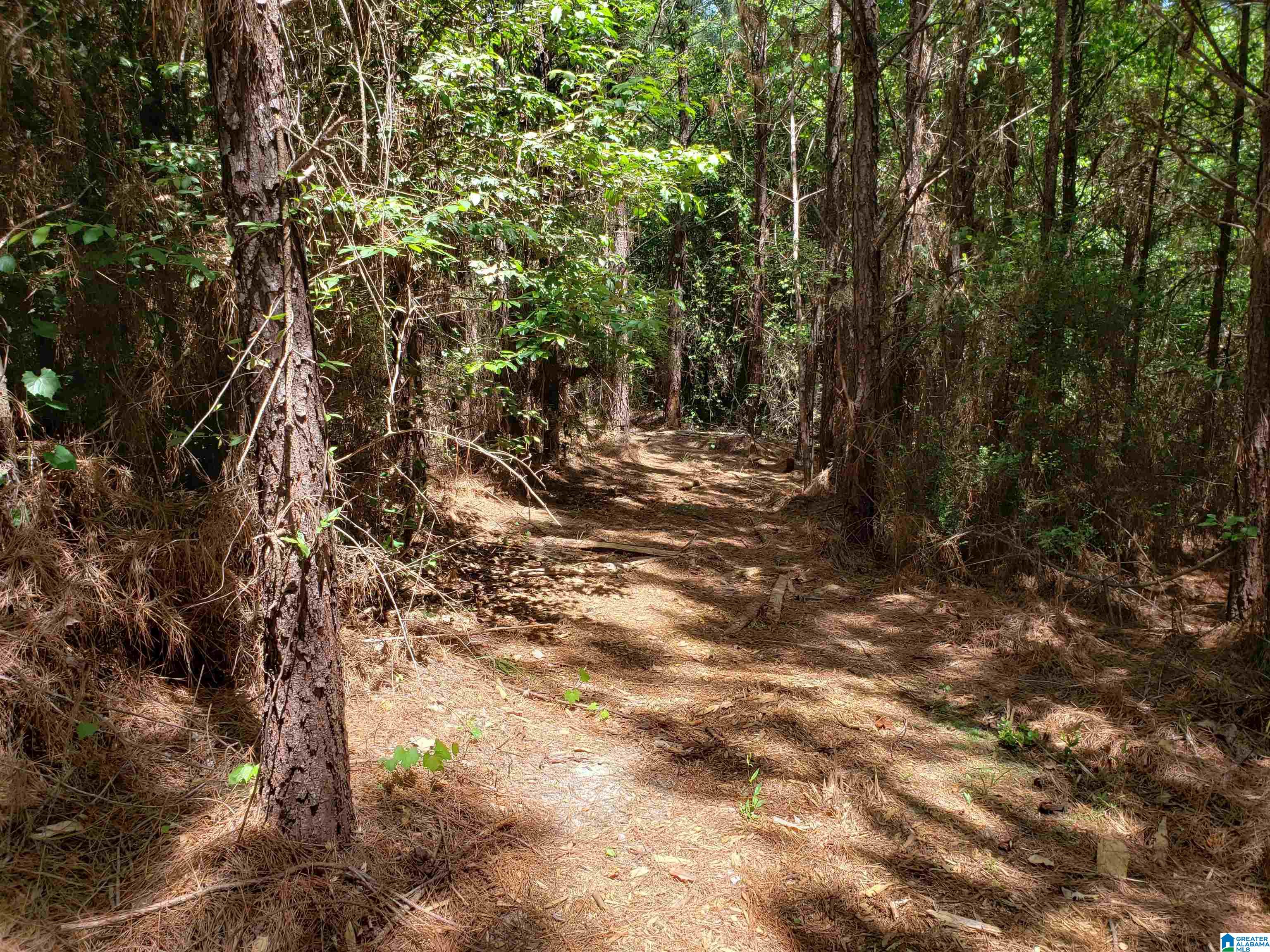 0 Clements Road, Unit 1 Cottondale, AL 35453 - Photo 7 of 16