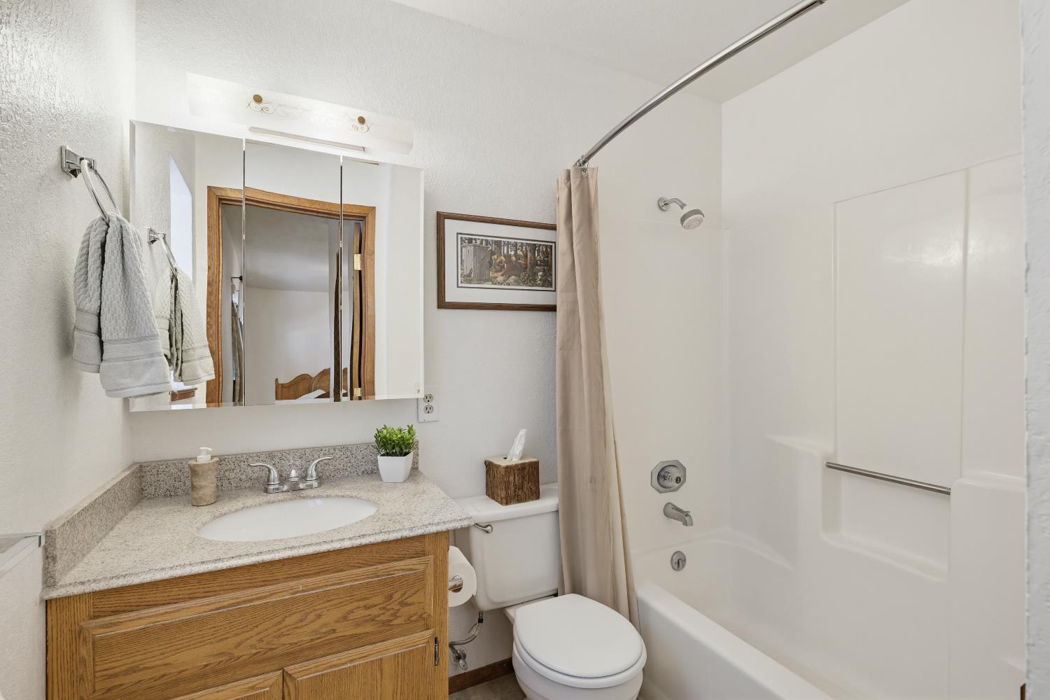 4838 Golden Street Pollock Pines, CA 95726 - Photo 15 of 35 a bathroom with a granite countertop sink toilet and shower