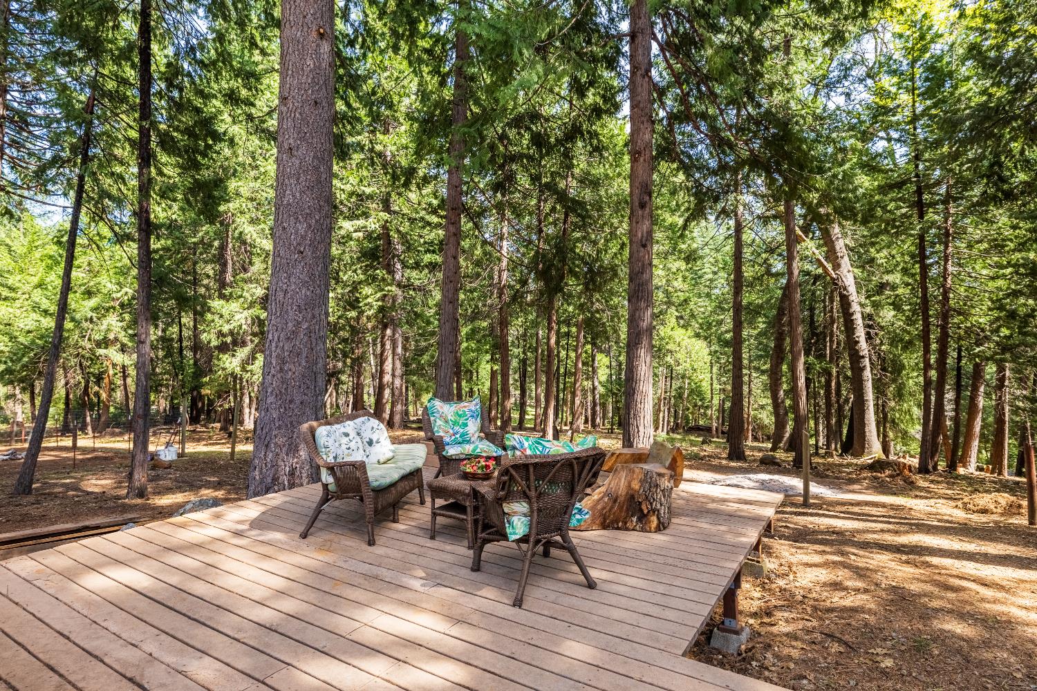 4838 Golden Street Pollock Pines, CA 95726 - Photo 24 of 35 a view of a patio on the house
