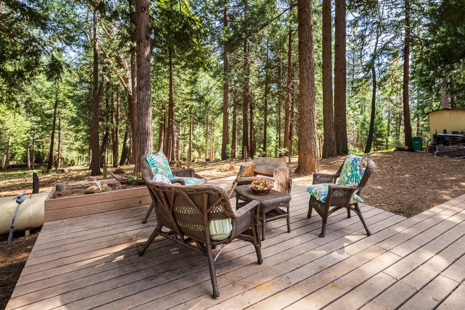 4838 Golden Street Pollock Pines, CA 95726 - Photo 25 of 35 a view of a lounge chairs on deck and patio