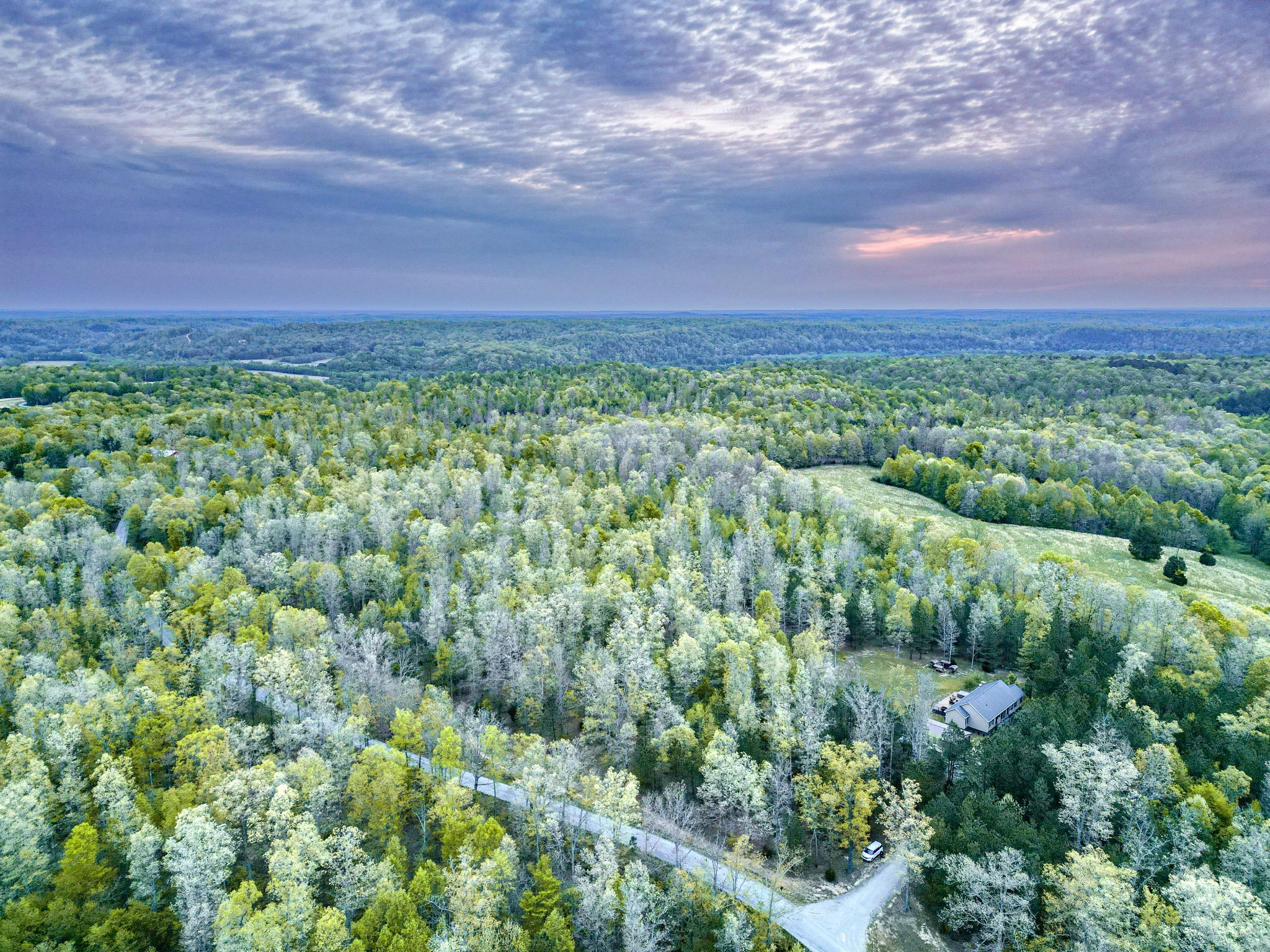 920 Mason Bates Bend Road Centerville, TN 37033 - Photo 2 of 44 a view of a green field with lots of bushes