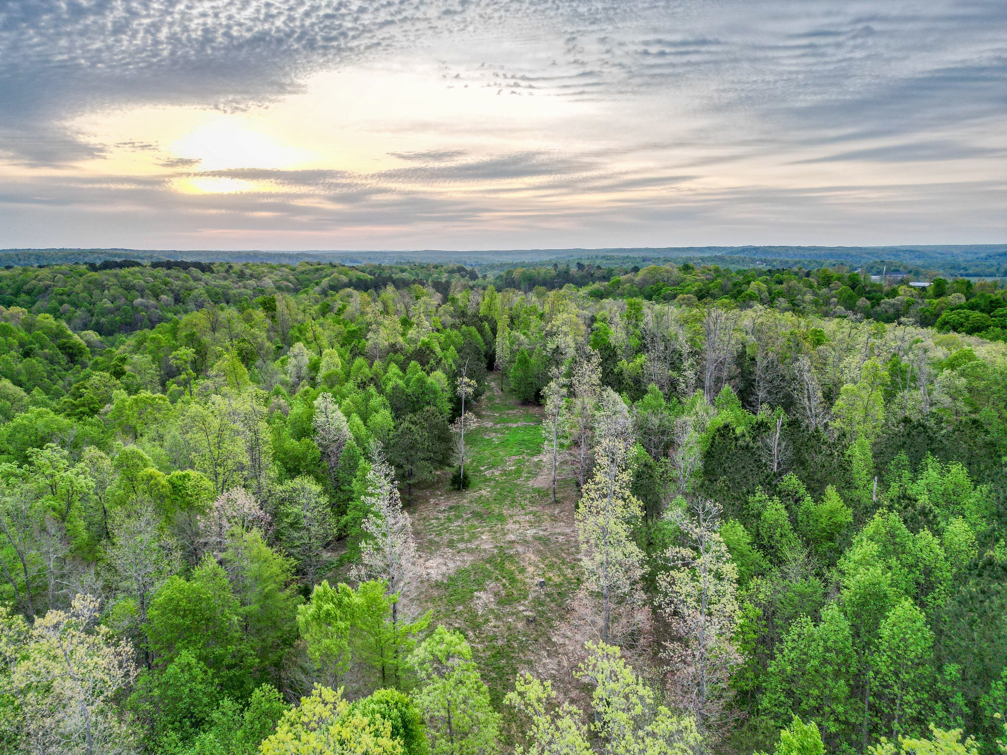 920 Mason Bates Bend Road Centerville, TN 37033 - Photo 3 of 44 a view of an ocean and beach