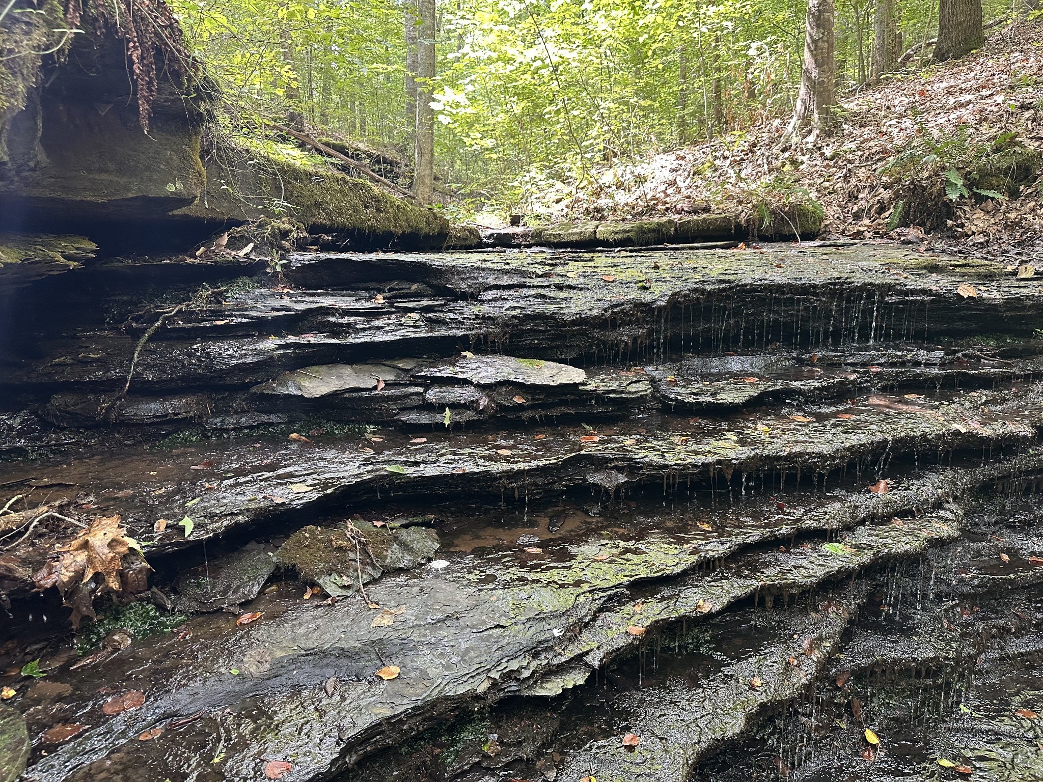 920 Mason Bates Bend Road Centerville, TN 37033 - Photo 35 of 44 a view of a lake with a yard