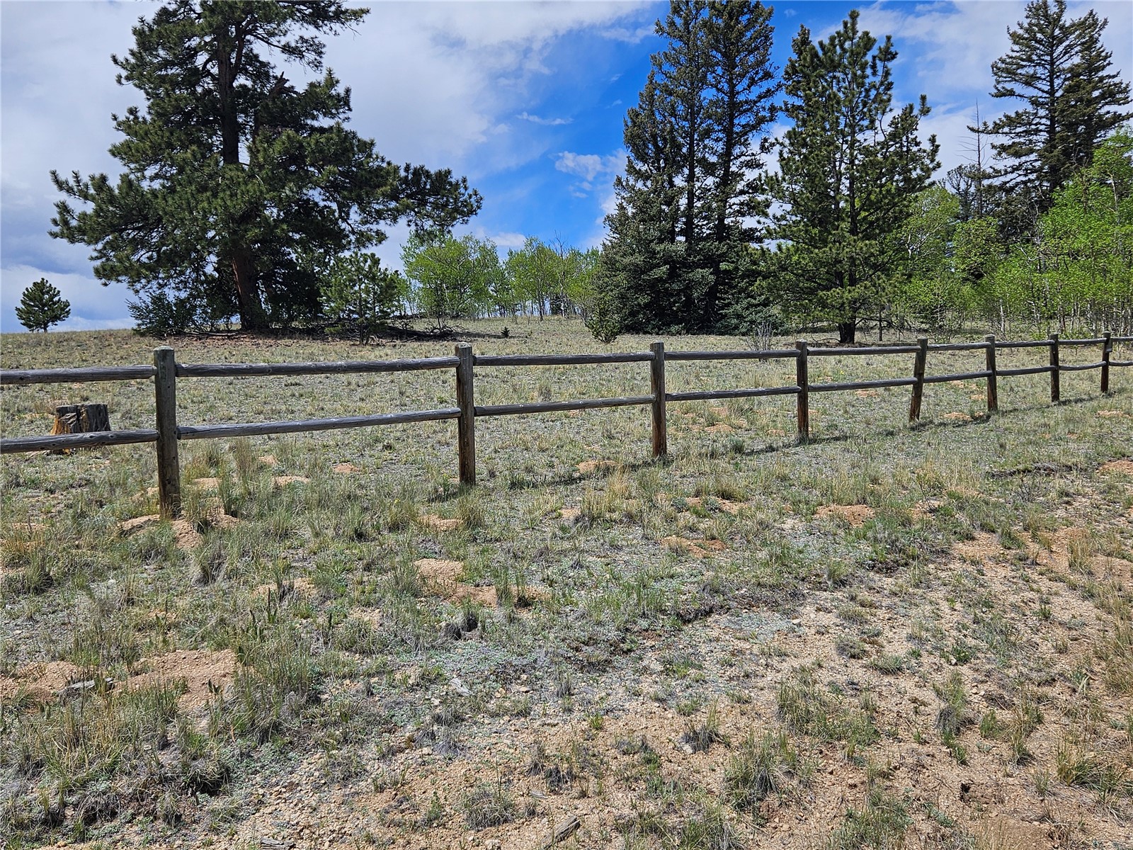 412 Smith And Wesson Road Como, CO 80432 - Photo 7 of 50
