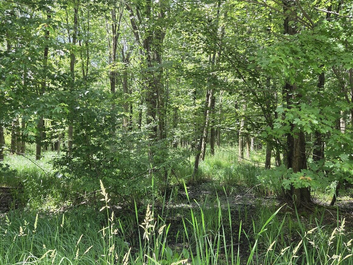 1 Tamarack Road Brillion, WI 54110 - Photo 16 of 18 Another view