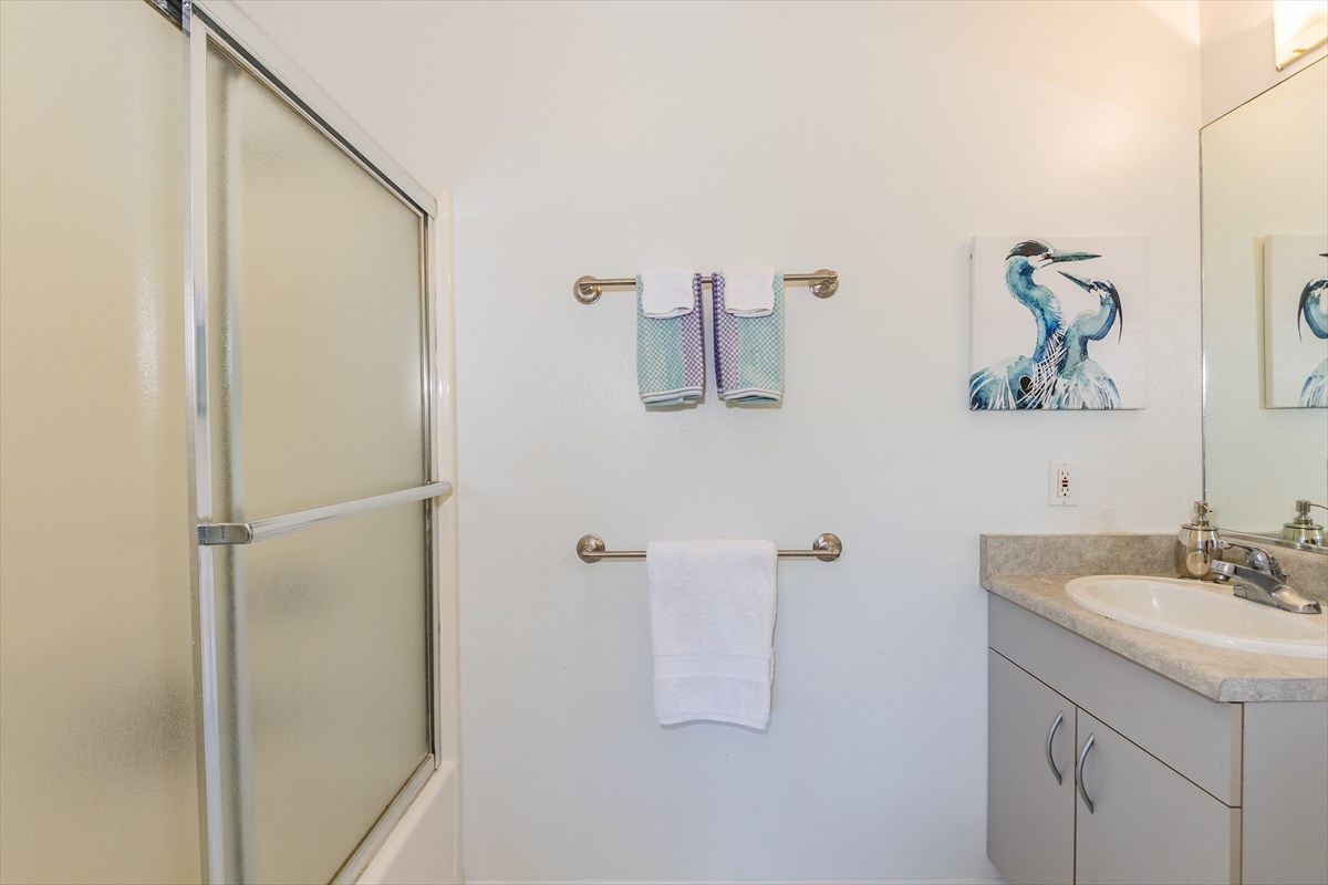 455 Akolea Road Hilo, HI 96720 - Photo 20 of 29 a bathroom with a shower and vanity
