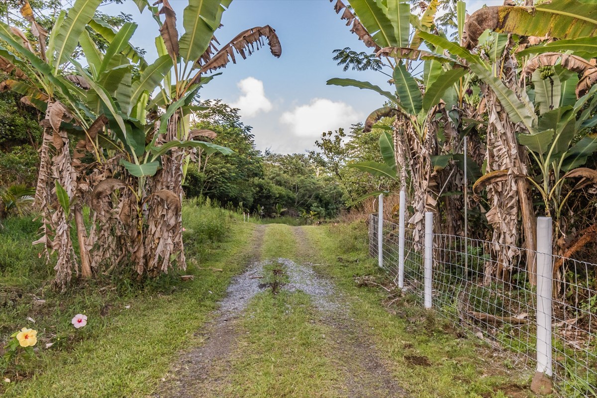 455 Akolea Road Hilo, HI 96720 - Photo 29 of 29 a backyard of a house with lots of green space