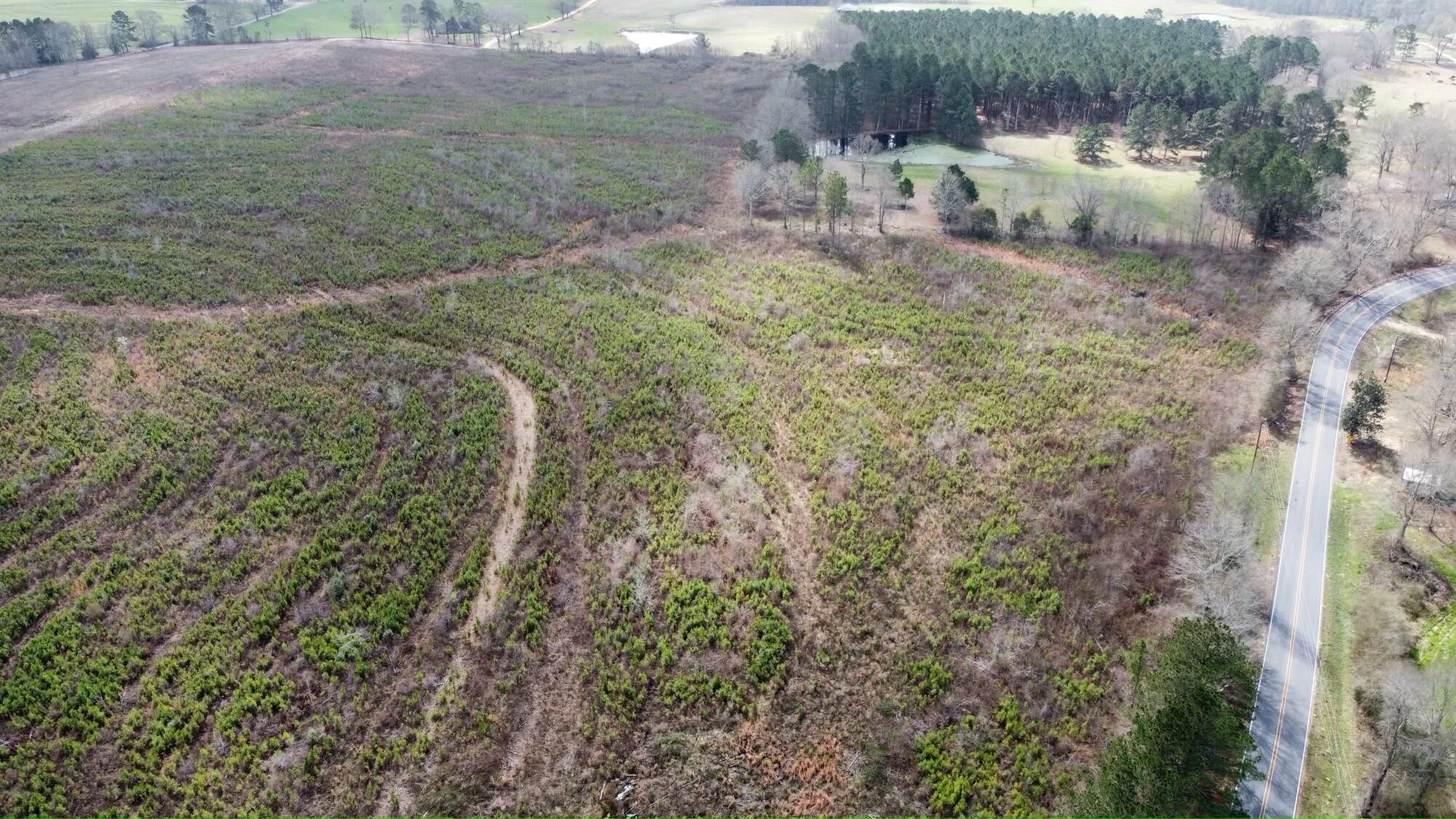 0 Dry Creek Road Magee, MS 39111 - Photo 1 of 1 Gallery Image 1