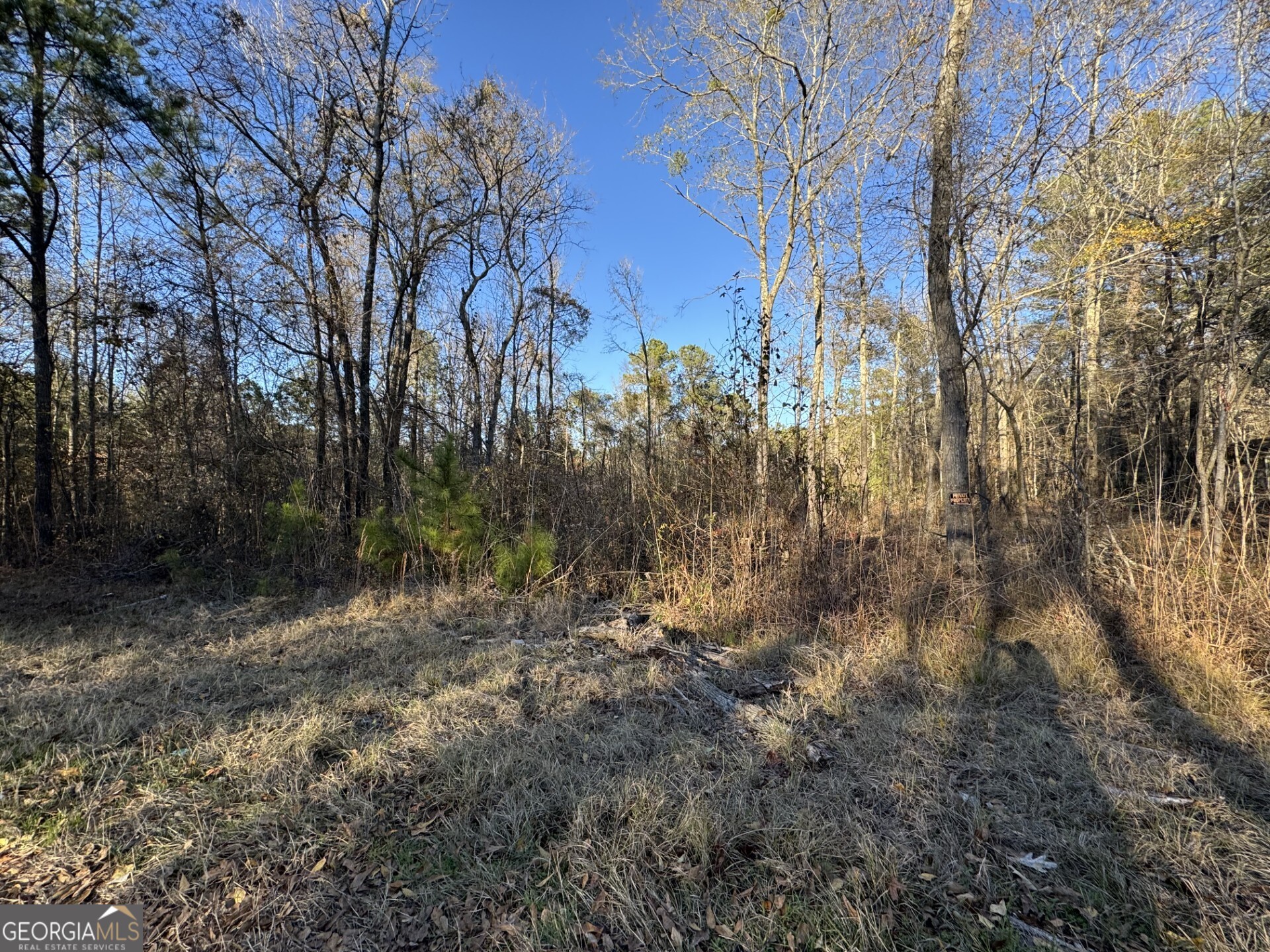 0 Kelly Road Macon, GA 31217 - Photo 2 of 2