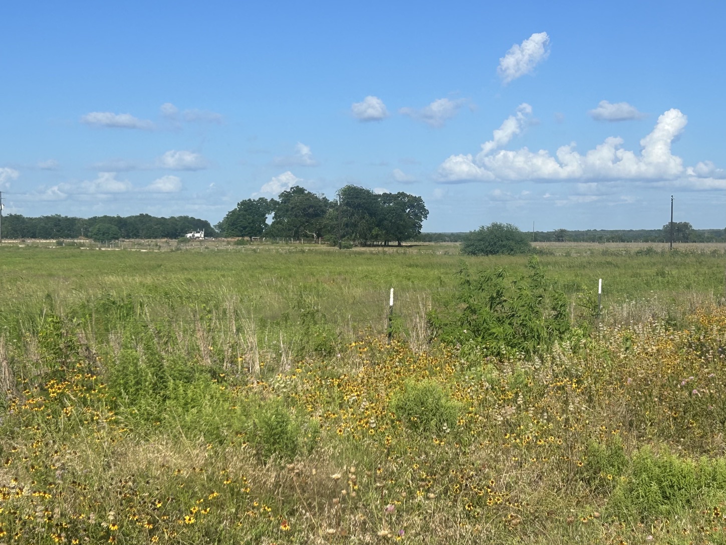 9012 Fm 141 Road Dime Box, TX 77853 - Photo 7 of 8 Hay meadow and an expansive blue sky beckons.