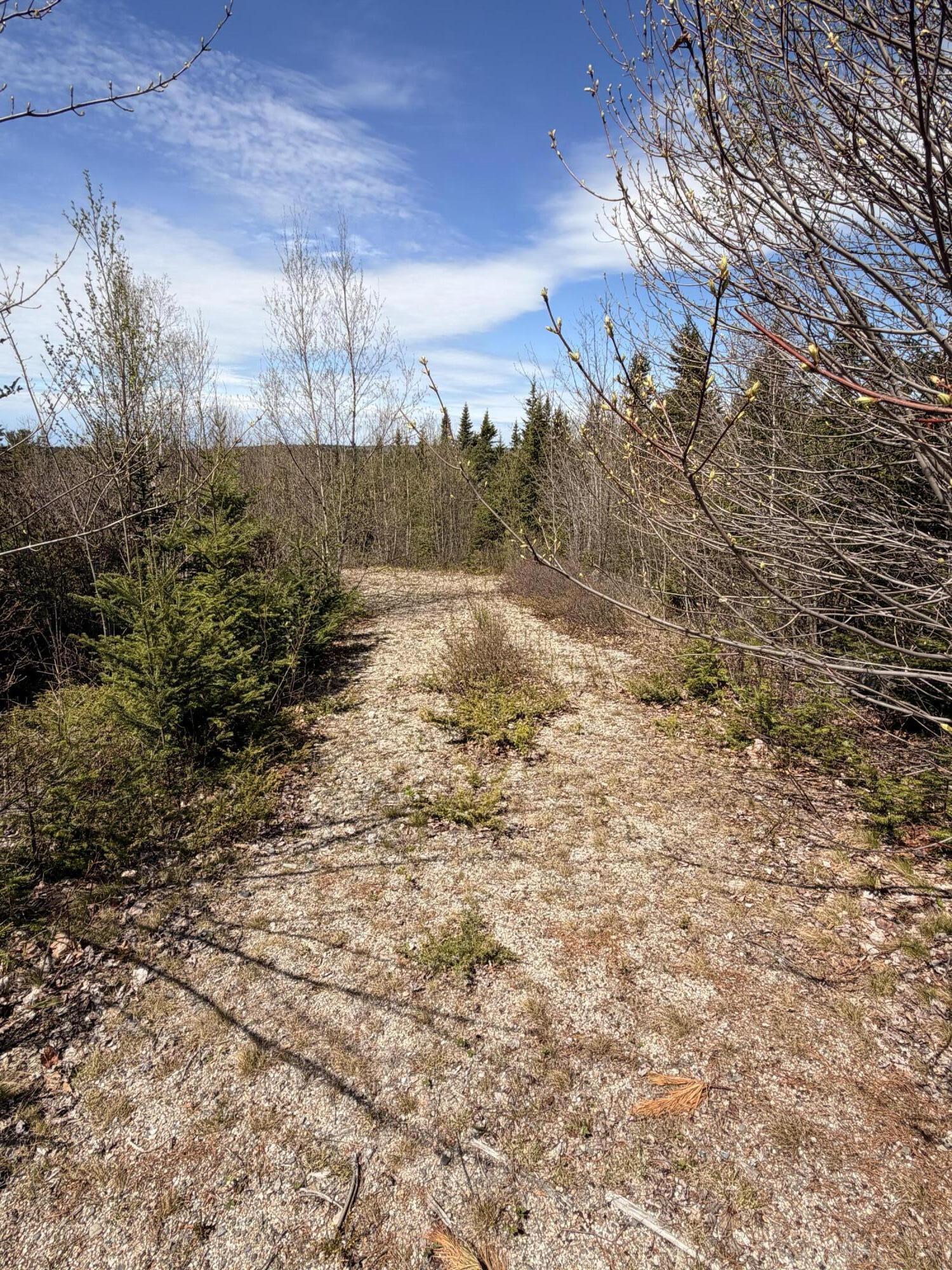 76 Morancy Road Sullivan, ME 04664 - Photo 2 of 8