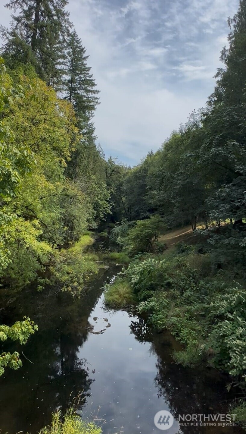 115 Maschke Road Vader, WA 98593 - Photo 37 of 40 a view of a lake with beach and green space