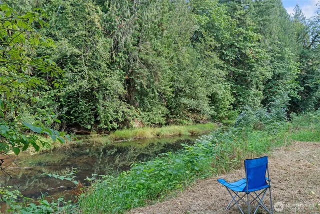 a view of a bench in a garden