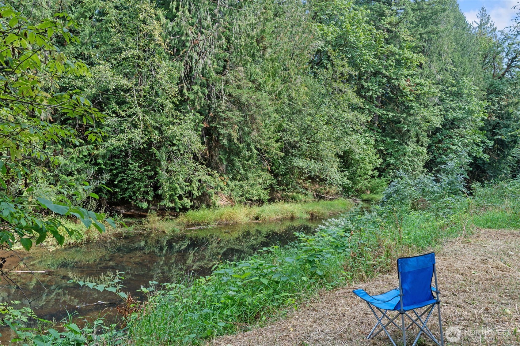 115 Maschke Road Vader, WA 98593 - Photo 4 of 40 a view of a bench in a garden