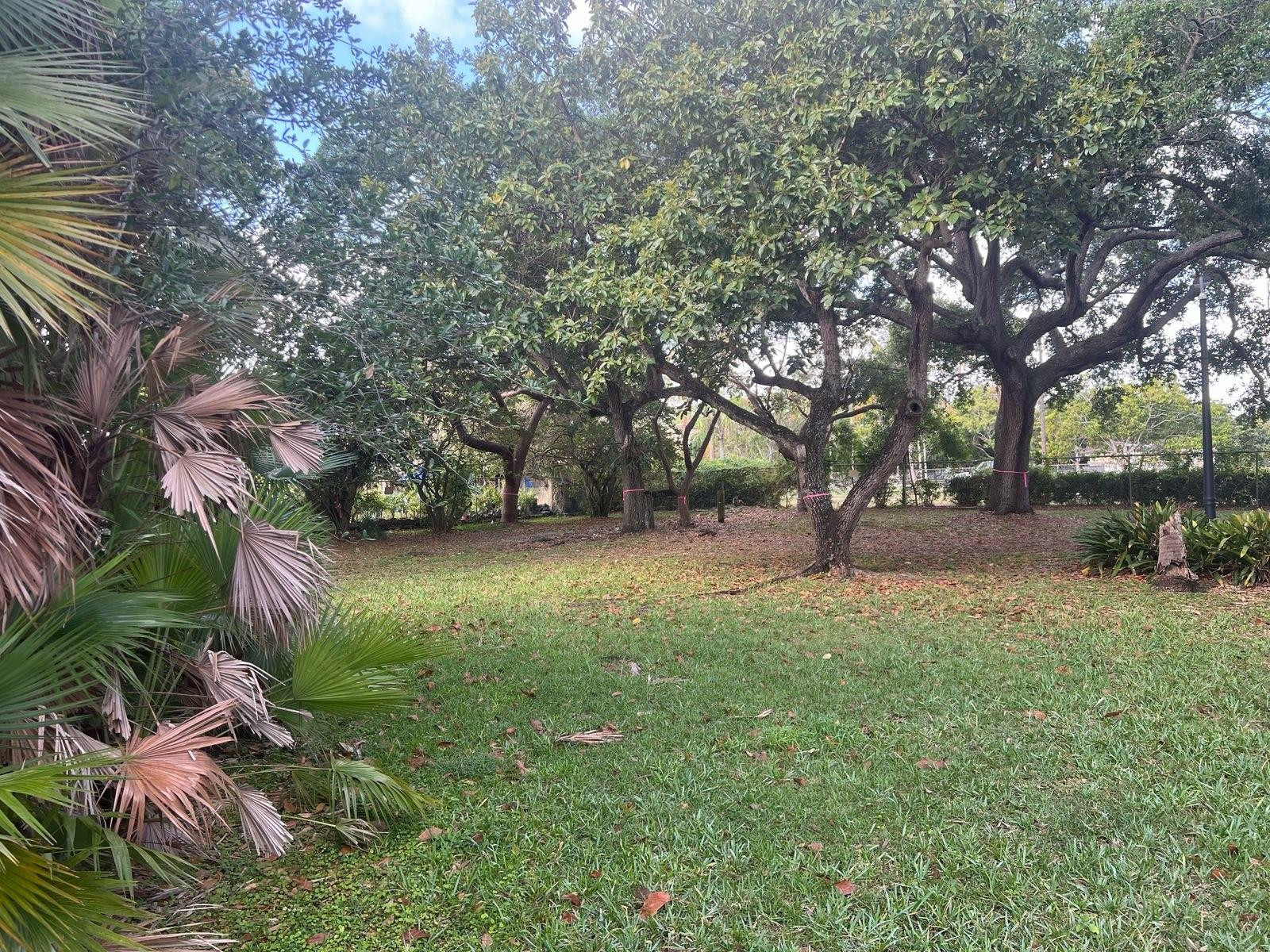 24700 Southwest 129th Avenue Homestead, FL 33032 - Photo 10 of 10 Photo 10