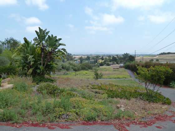 1859 Foxfire Road Fallbrook, CA 92028 - Photo 3 of 25 Gallery Image 3
