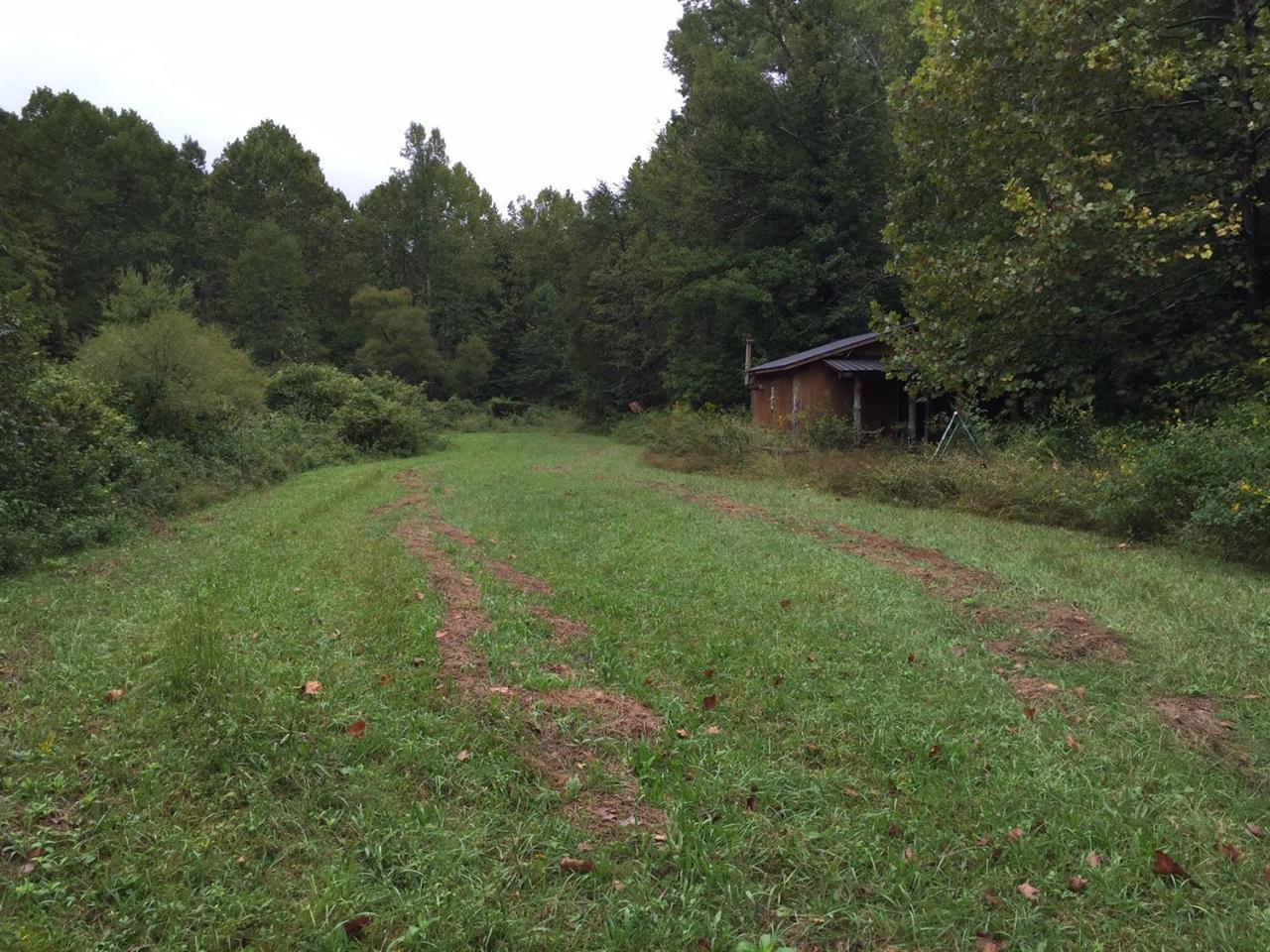 2370 Osborn Creek Road Strunk, KY 42649 - Photo 65 of 66 Additional Photo