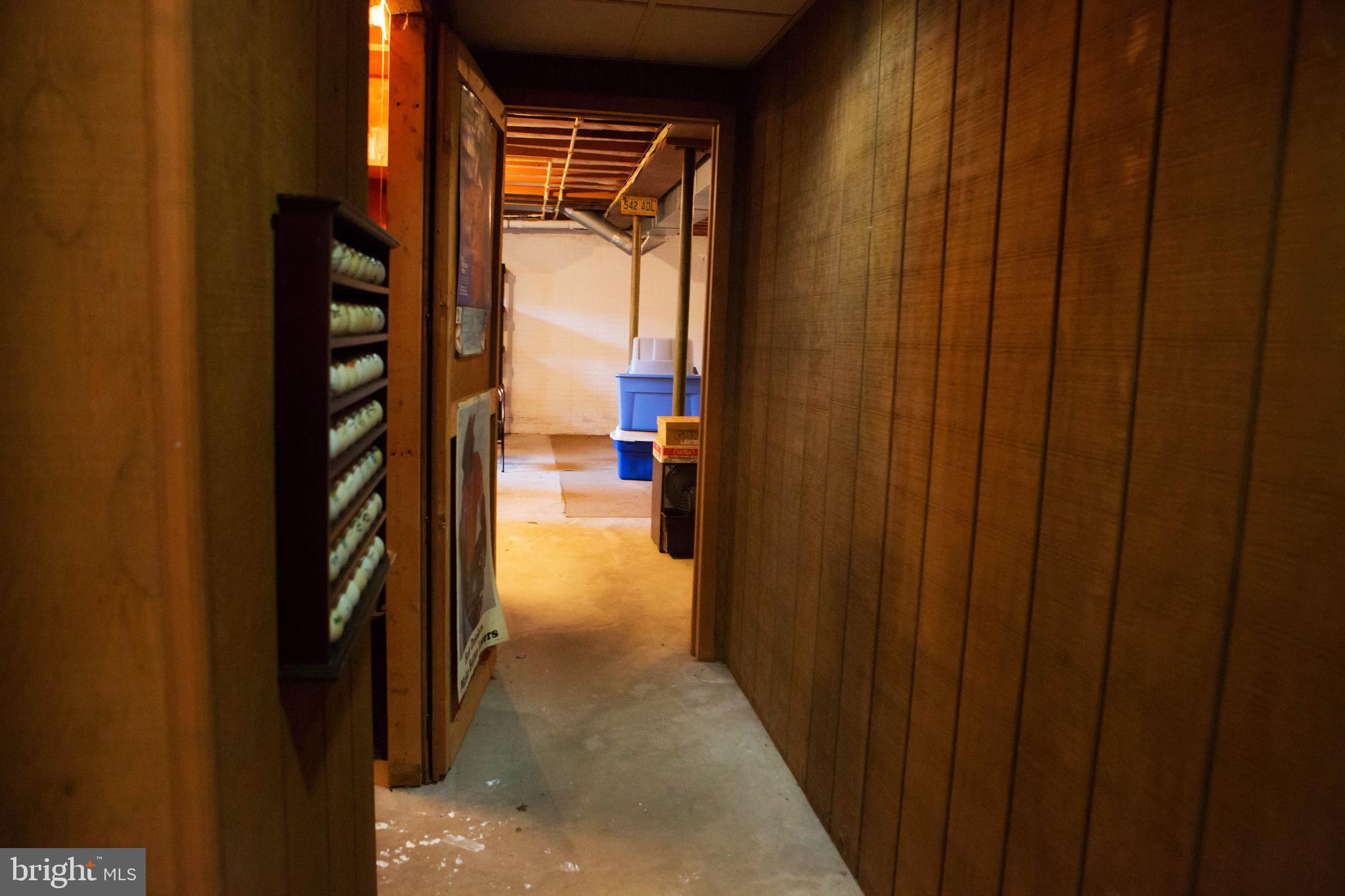 4620 Dave Rill Road Hampstead, MD 21074 - Photo 27 of 35 Hallway in basement