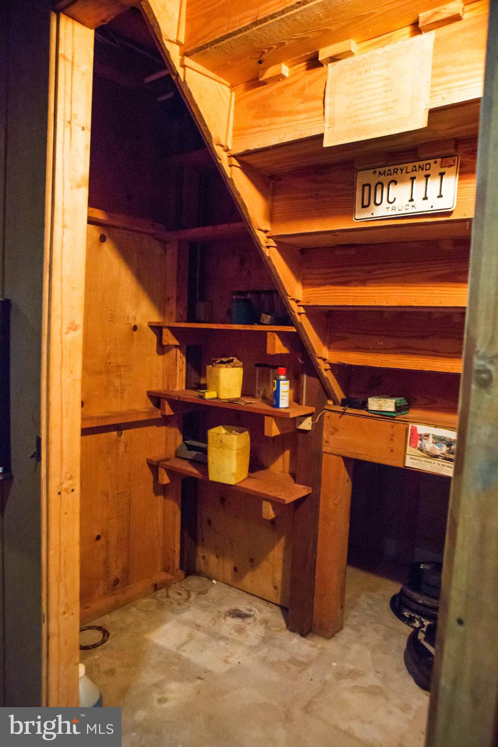 4620 Dave Rill Road Hampstead, MD 21074 - Photo 28 of 35 Room under step.