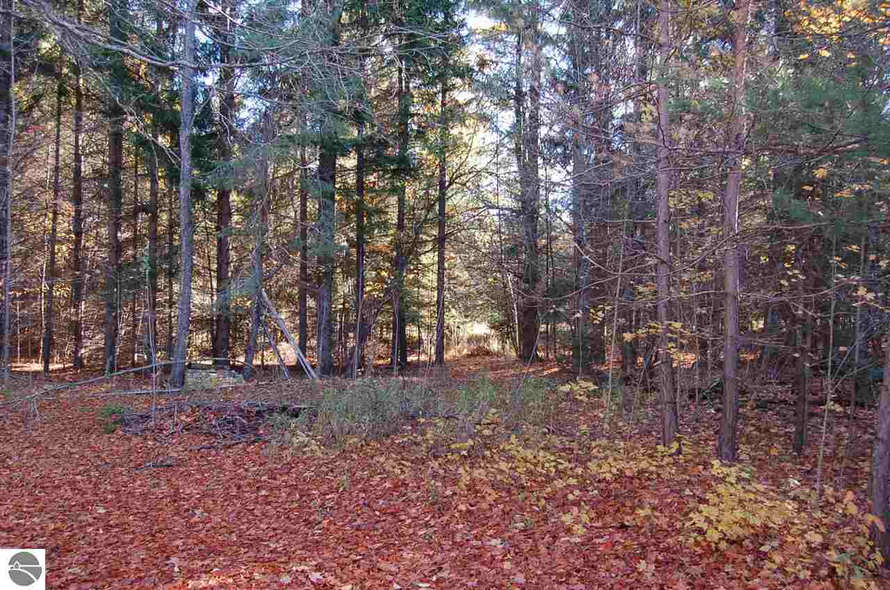 0 North Dundas Rd Rapid Alden, MI 49612 - Photo 9 of 12