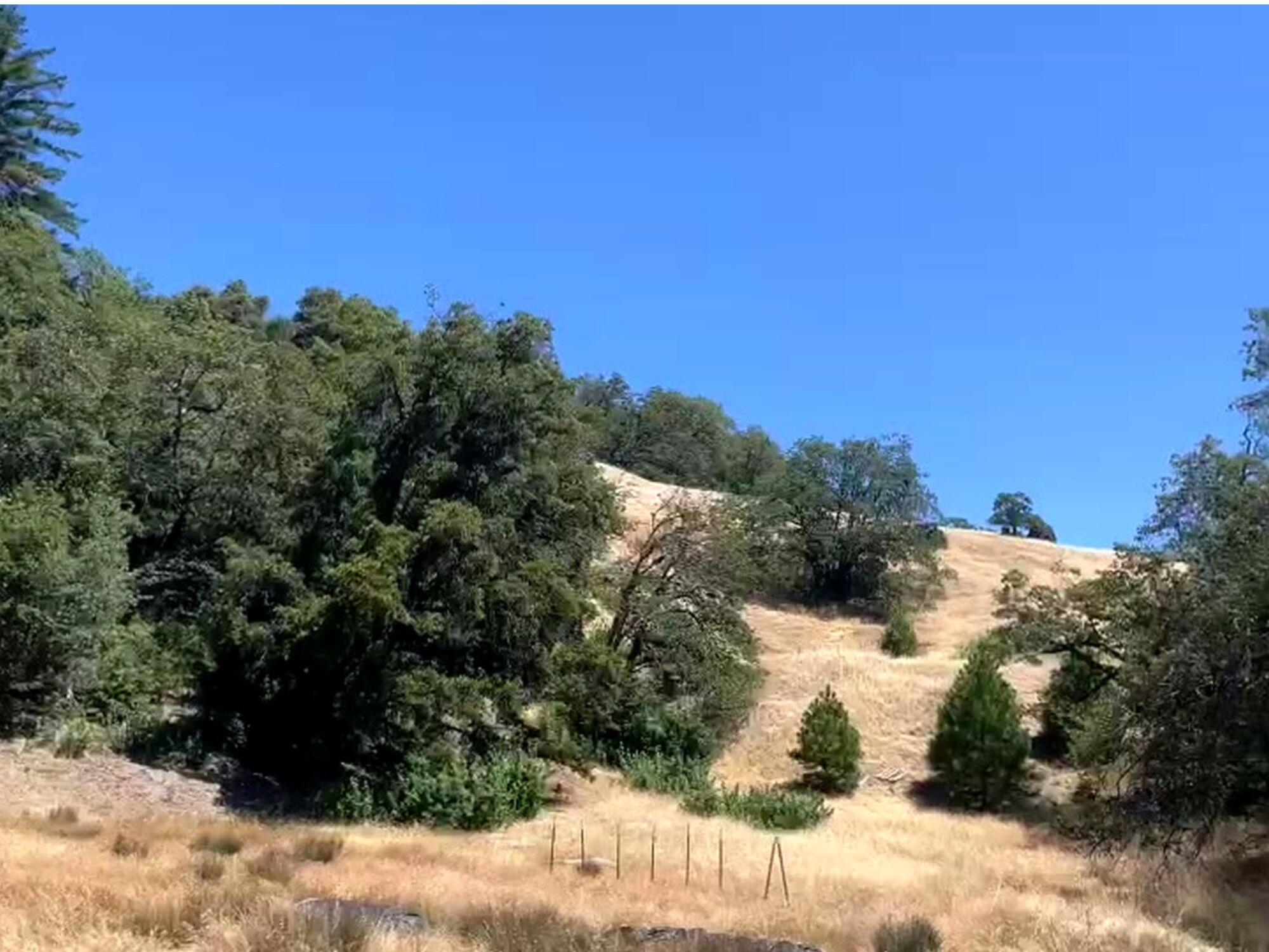 46 Burr Valley Road Bridgeville, CA 95526 - Photo 3 of 23 Gallery Image 3