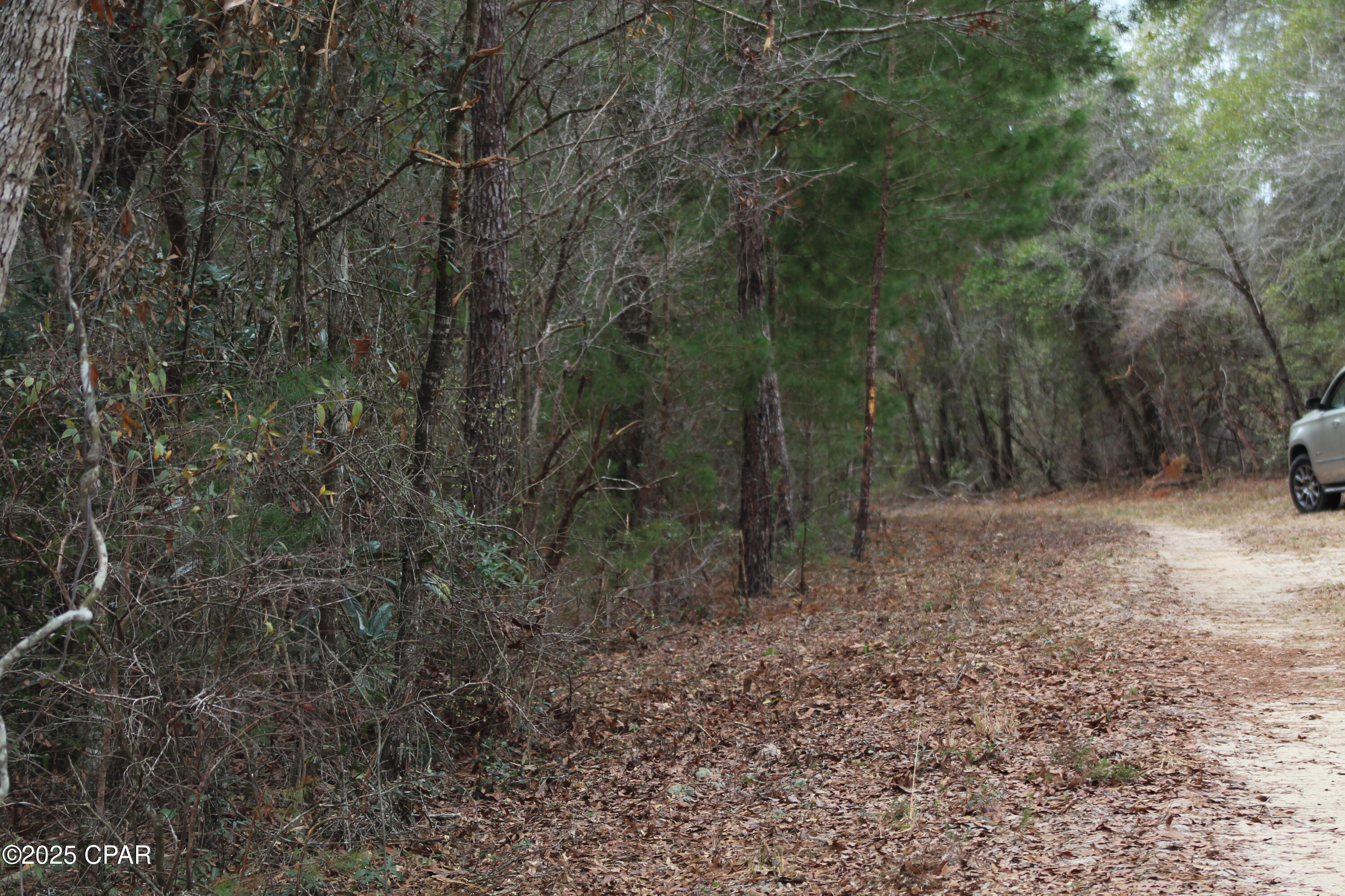 Lot 16 Bent Oaks Road Chipley, FL 32428 - Photo 11 of 17