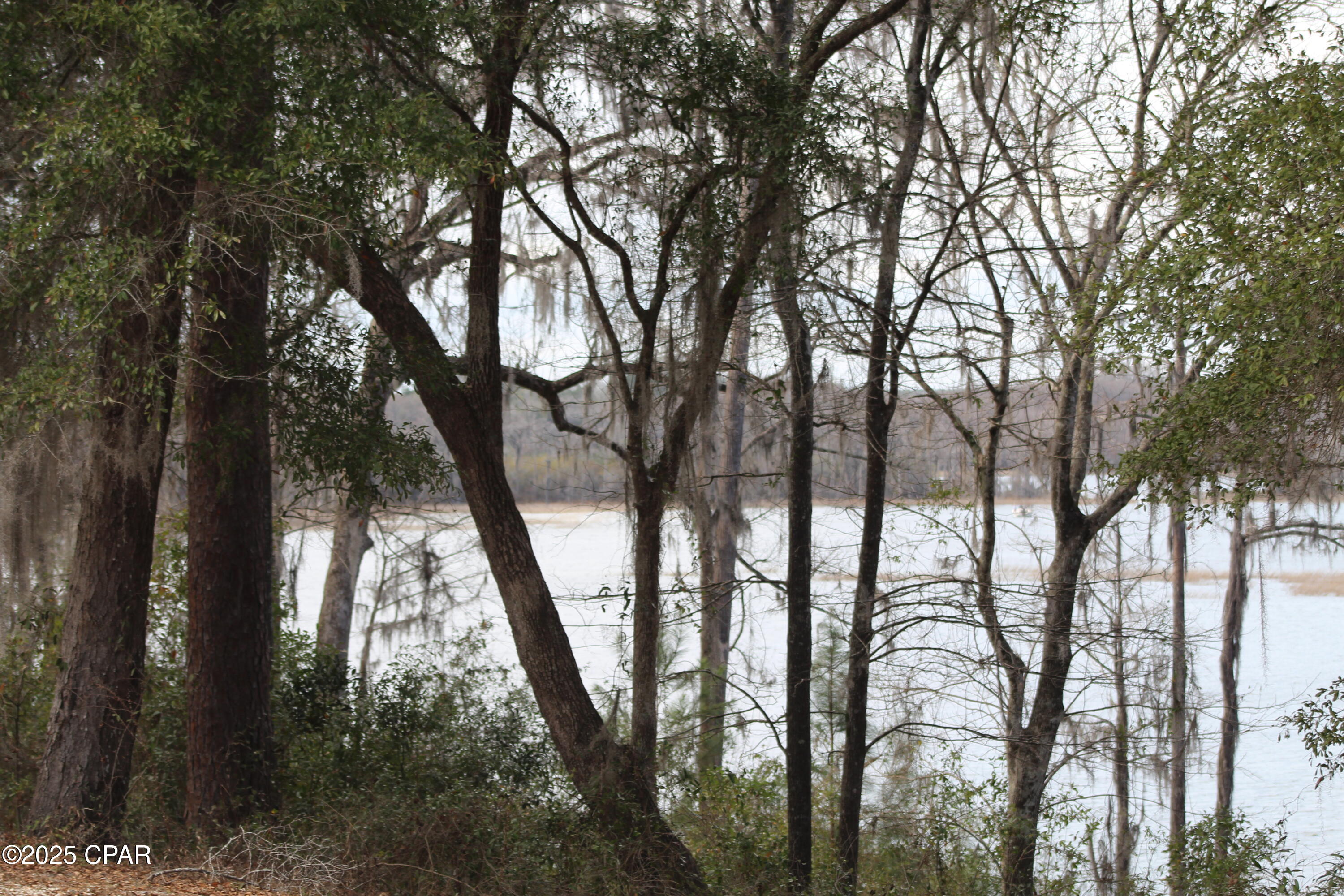 Lot 16 Bent Oaks Road Chipley, FL 32428 - Photo 13 of 17