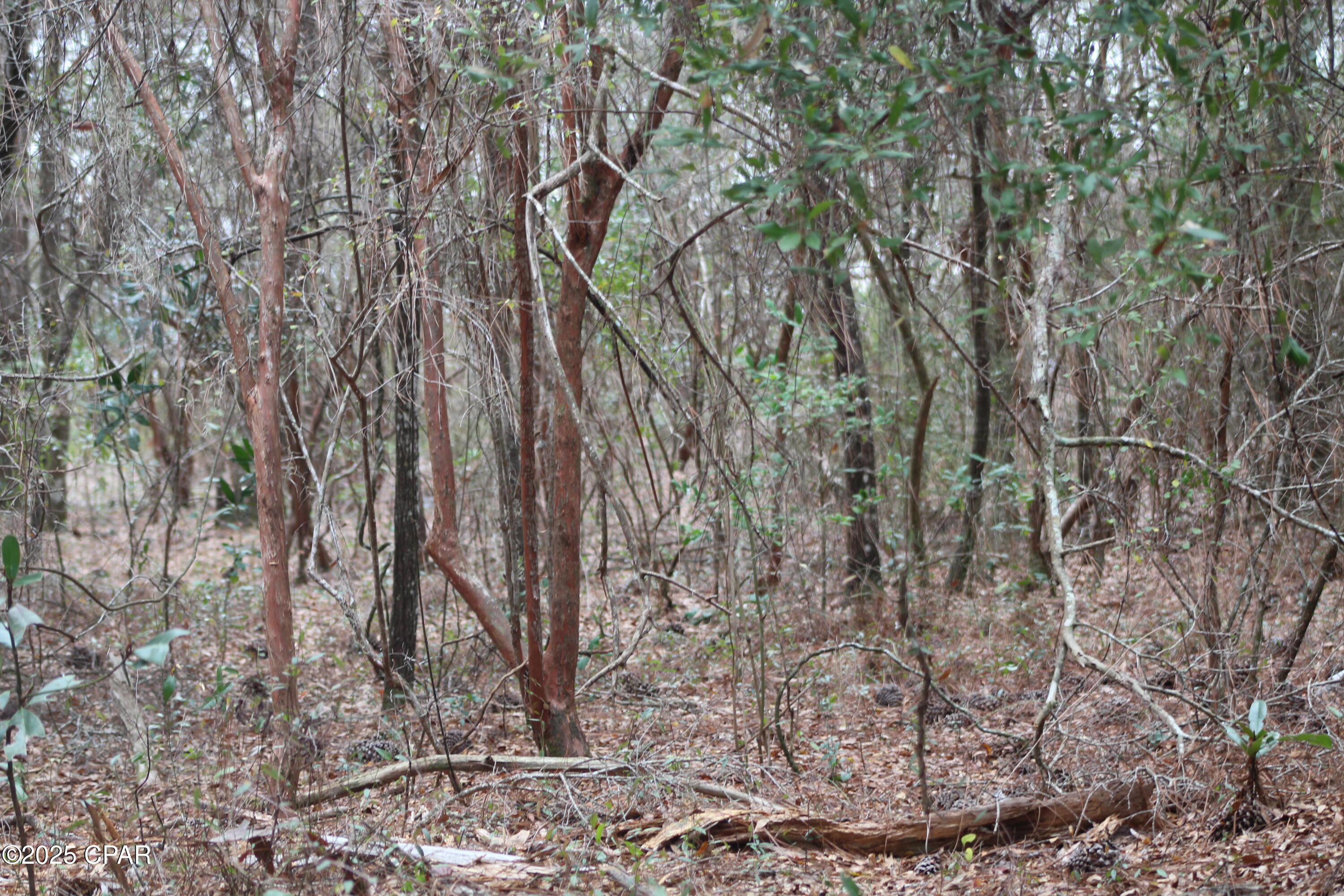 Lot 16 Bent Oaks Road Chipley, FL 32428 - Photo 15 of 17