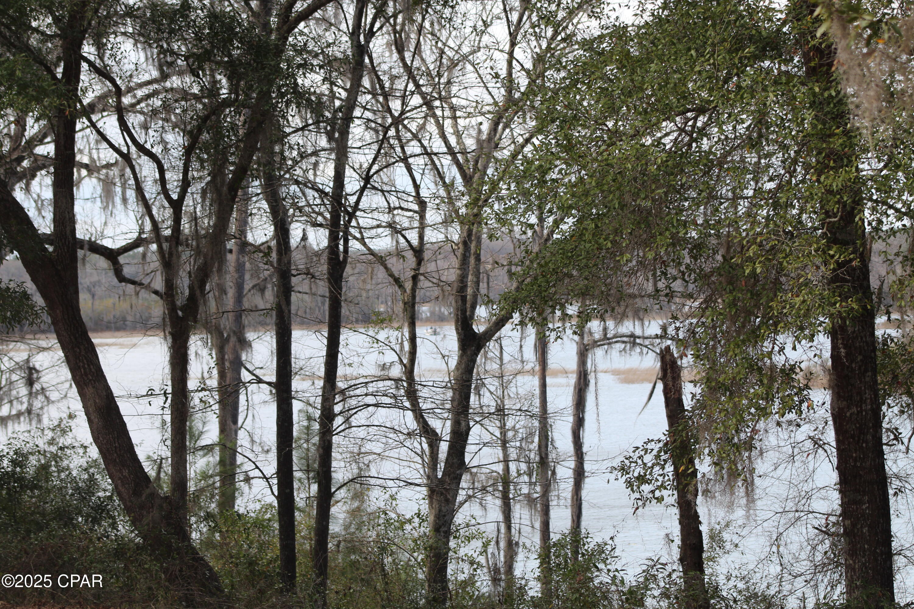 Lot 16 Bent Oaks Road Chipley, FL 32428 - Photo 2 of 17